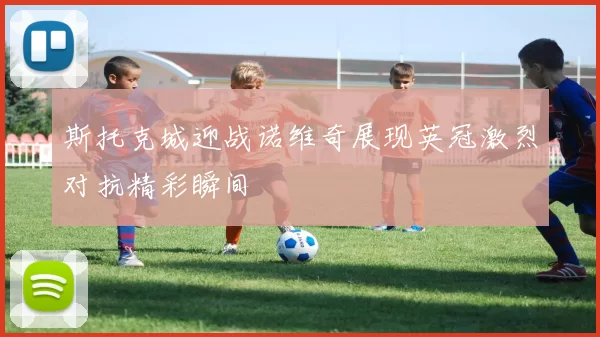 斯托克城迎战诺维奇展现英冠激烈对抗精彩瞬间